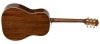Gitara akustyczna RICHWOOD HSDS-42 (HB)